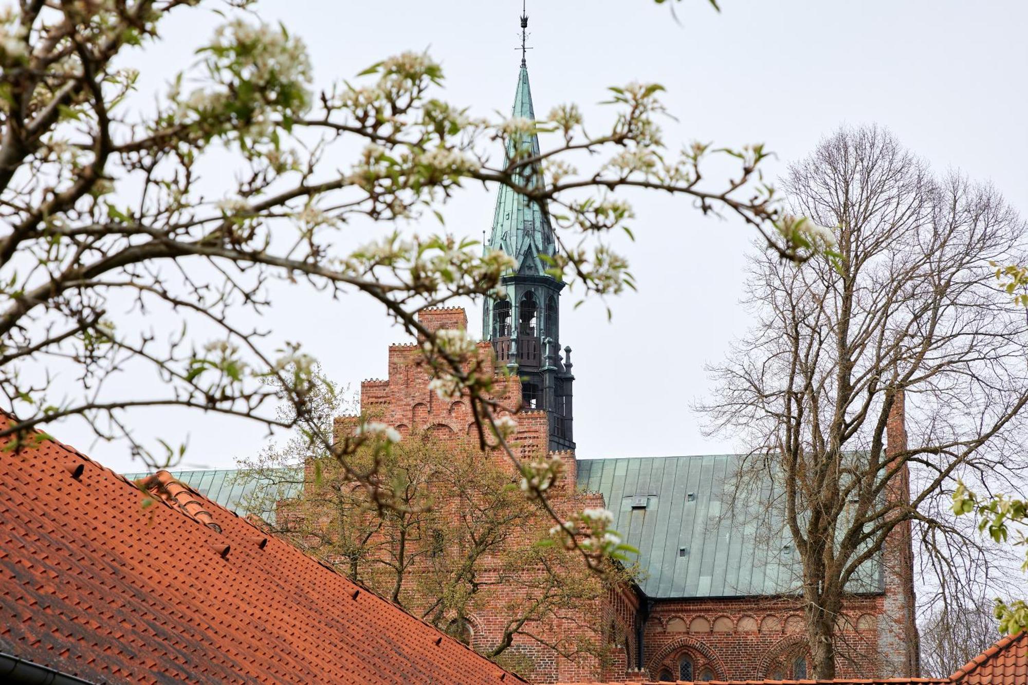 Logumkloster Refugium Bagian luar foto